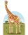 girafe-grand-livre-anim-des-bbs-animaux-milan-edition